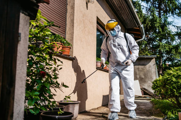 Best Affordable Pest Control Services  in Shil, OH